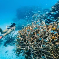 Great Barrier Reef